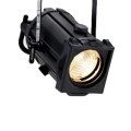 TheaterLightFresnel